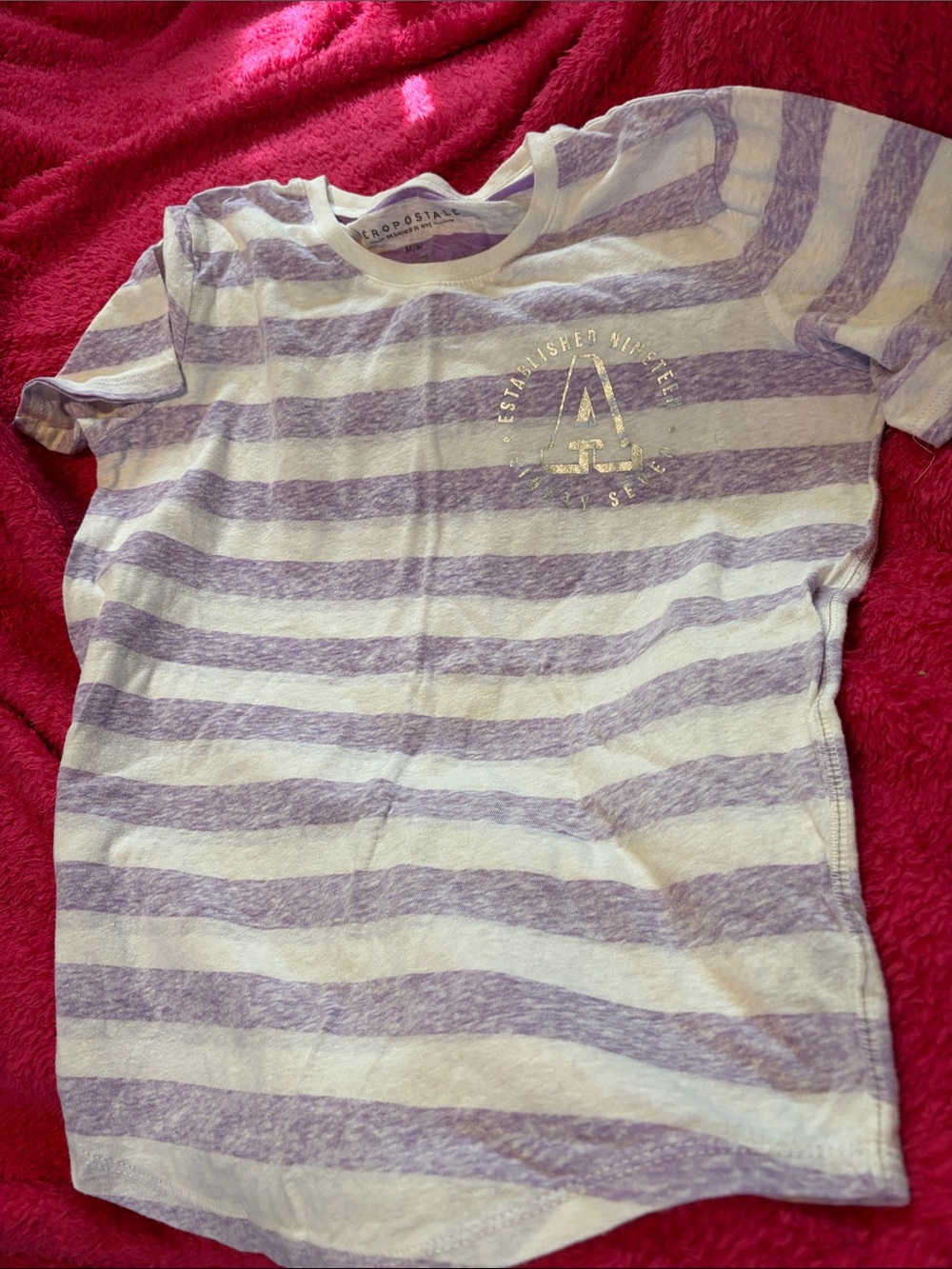 Aeropostale Lavender and White Striped Short Sleeve Tee with Gold Accent